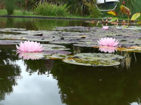Las Rosas